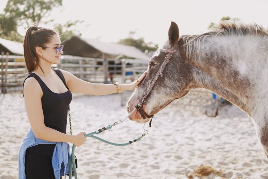 Jak prawidłowo dobierać pasze dla koni sportowych – praktyczne porady